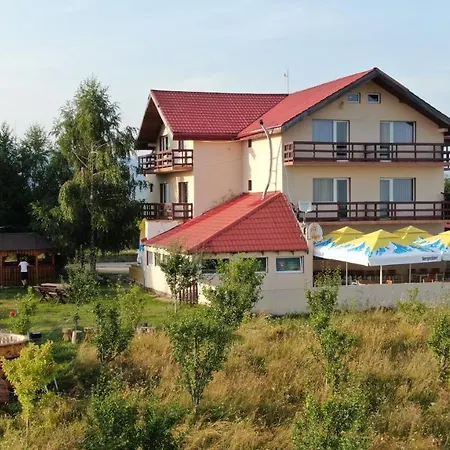 Runcu Stone Runcu (Dambovita)
