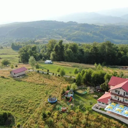 Runcu Stone Runcu (Dambovita)