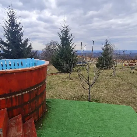 Runcu Stone Runcu (Dambovita)