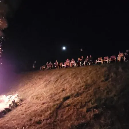 Runcu Stone Runcu (Dambovita)